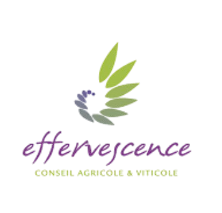 Image d'un logo d'une enseigne (Effervescence).