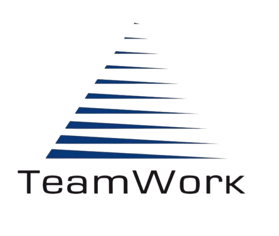 Image d'un logo d'une marque de sport (TeamWork).