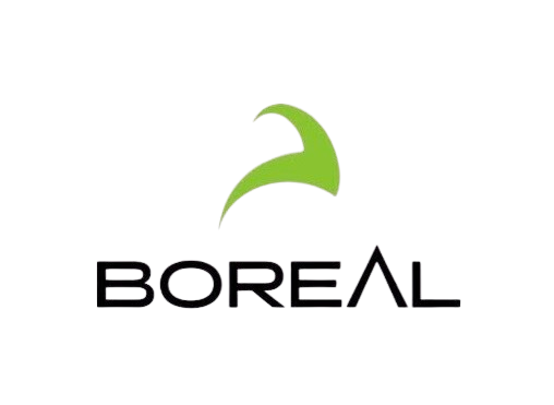 Image d'un logo d'une marque de sport (Boreal).